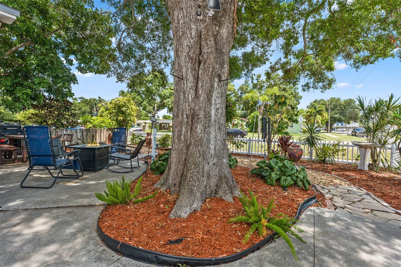 Outdoor seating and garden area