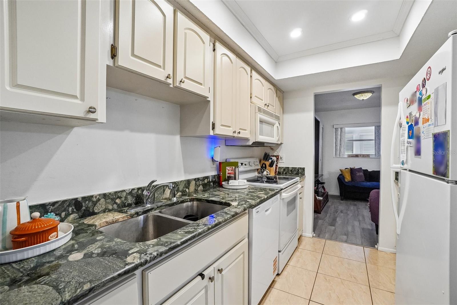 Dual sinks and disposer