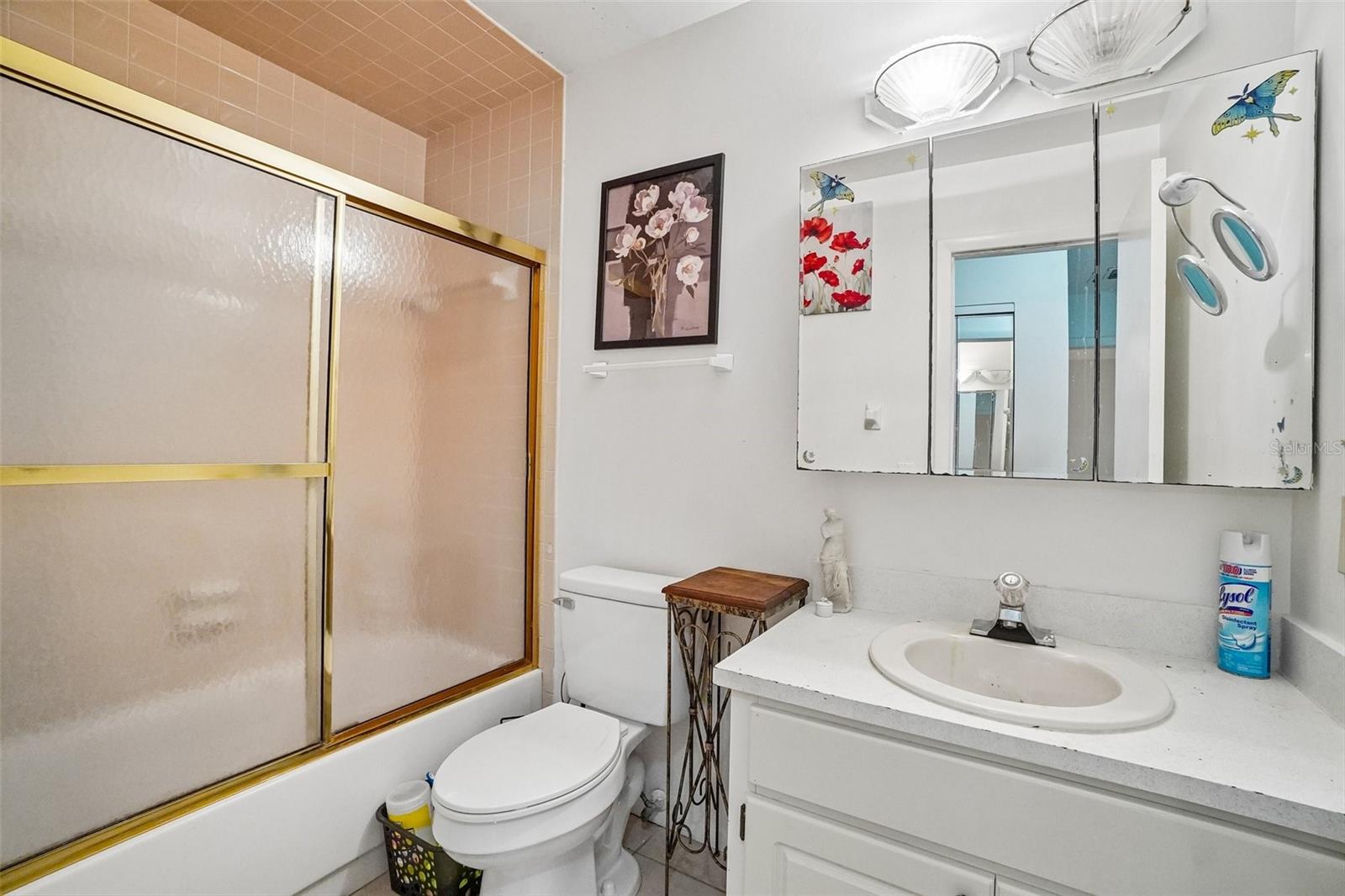 Full Guest Bathroom