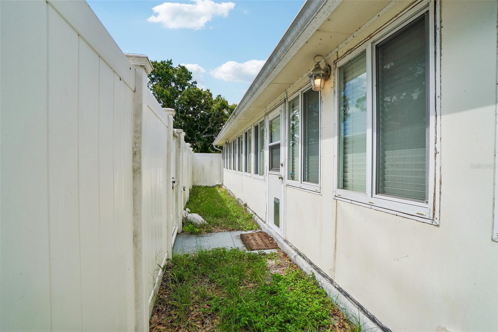 Backyard w/ Fence