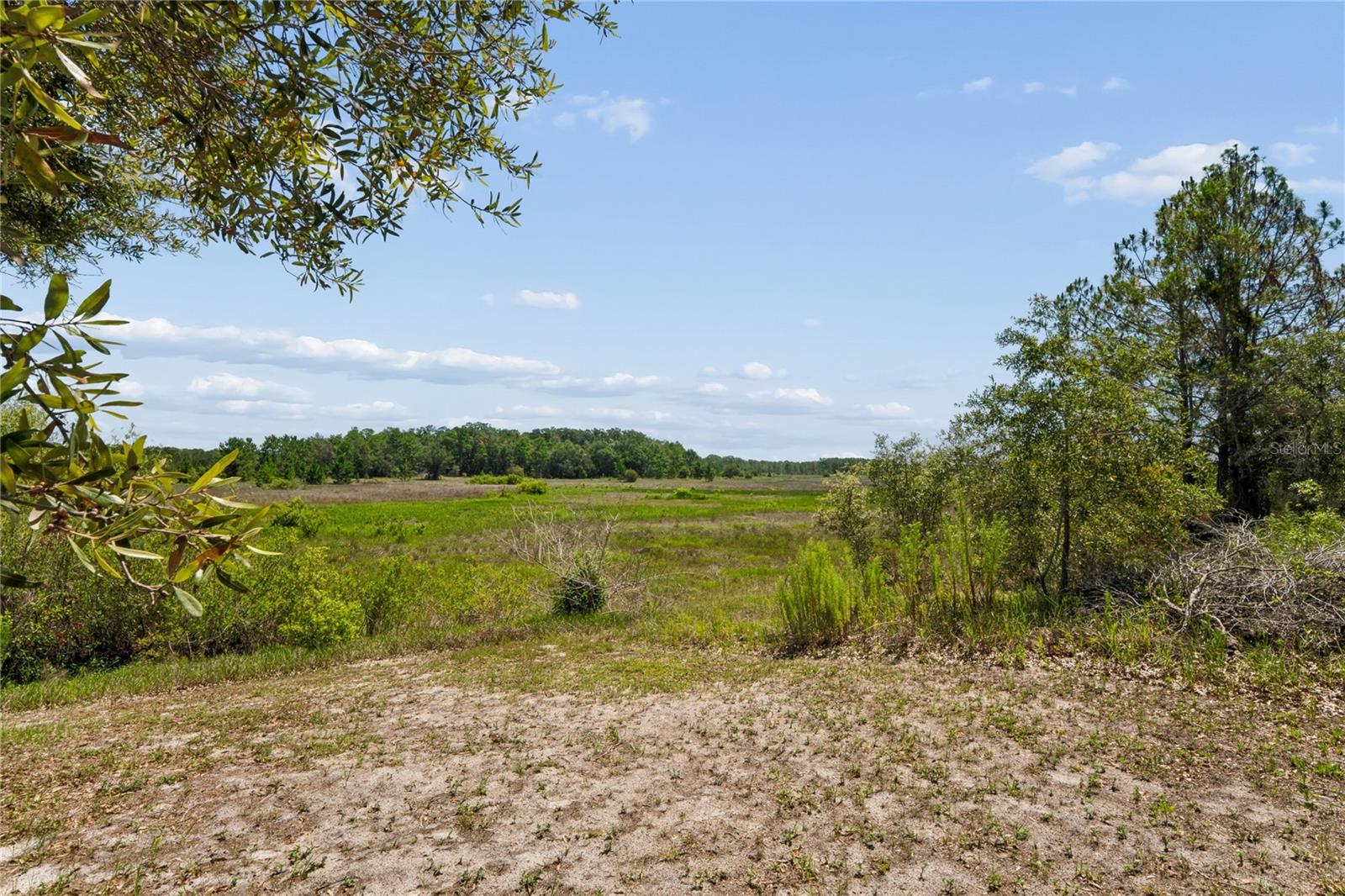 W7887396