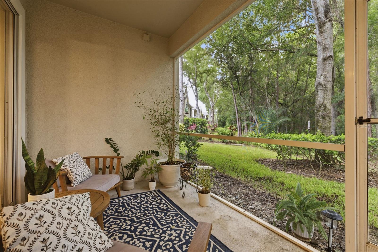Patio View
