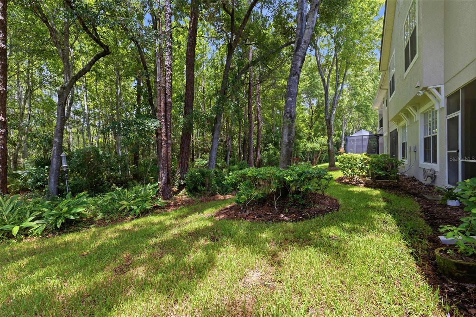 Backyard View