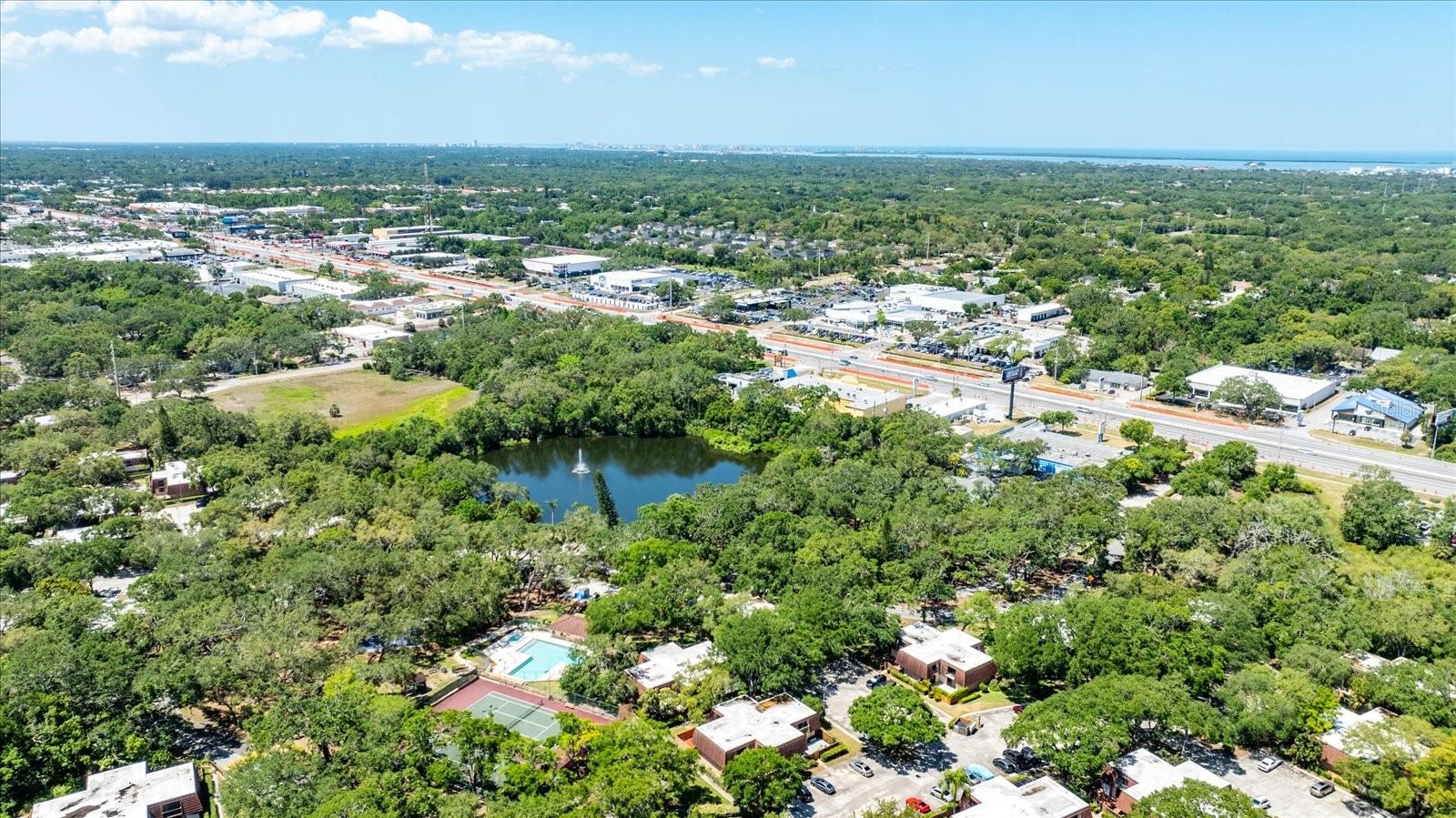 Located minutes from Honeymoon Island, downtown Dunedin & Palm Harbor, Countryside Mall, and so much more.