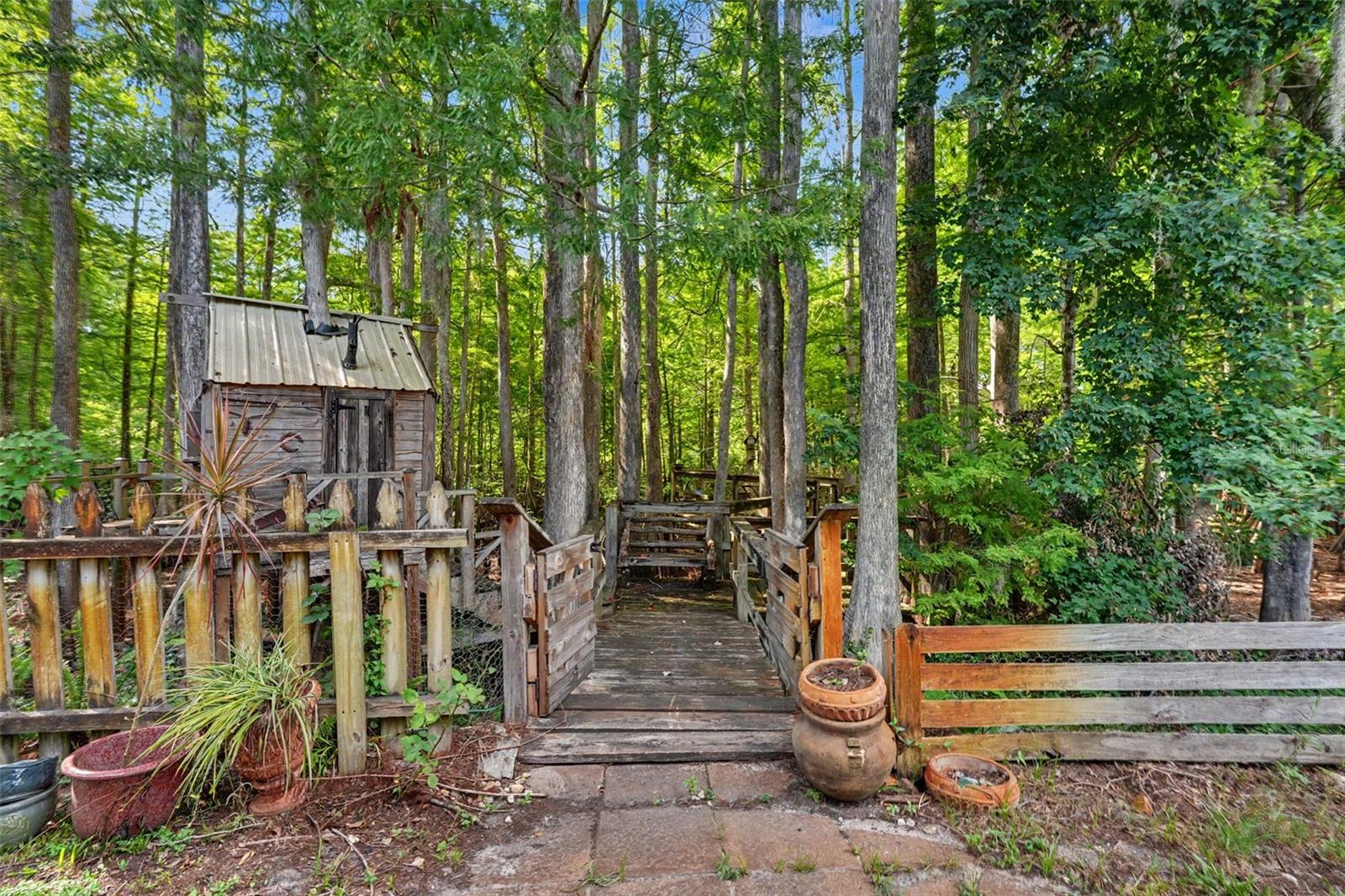 tree house