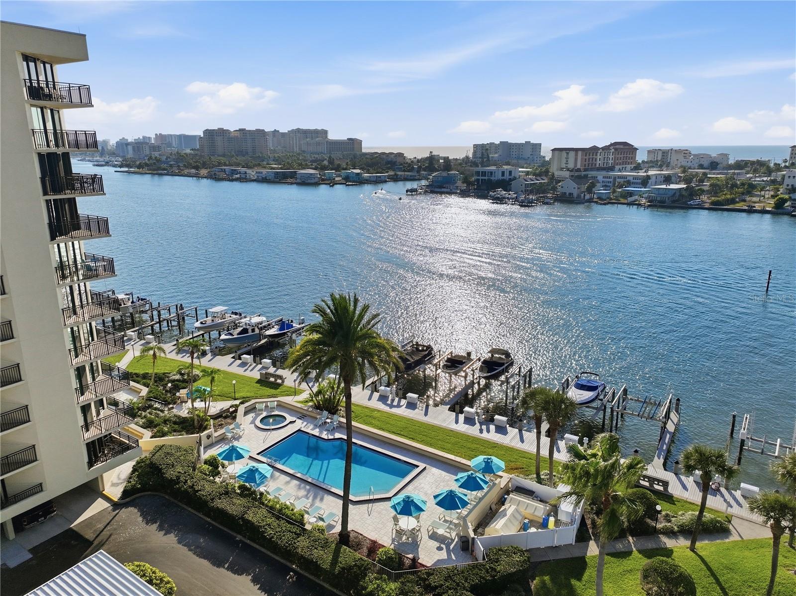Your Backyard!