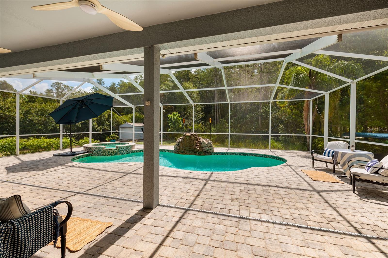 Screened-in Lanai and Pool