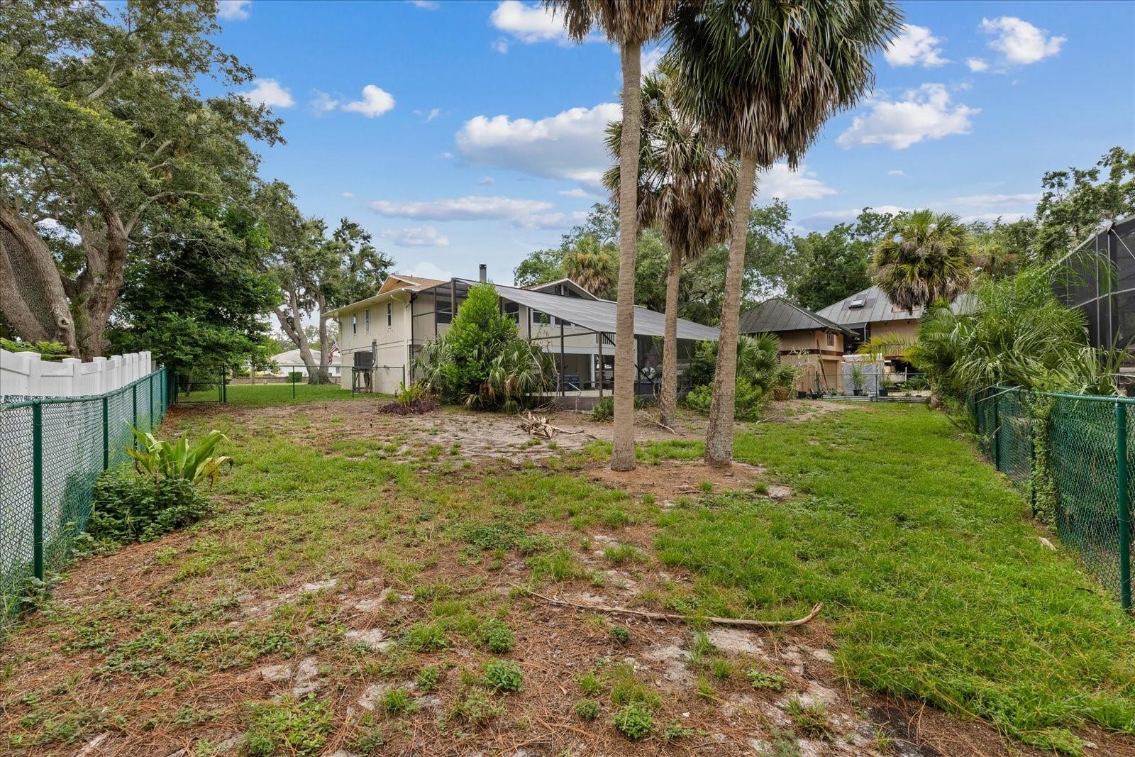 Backyard