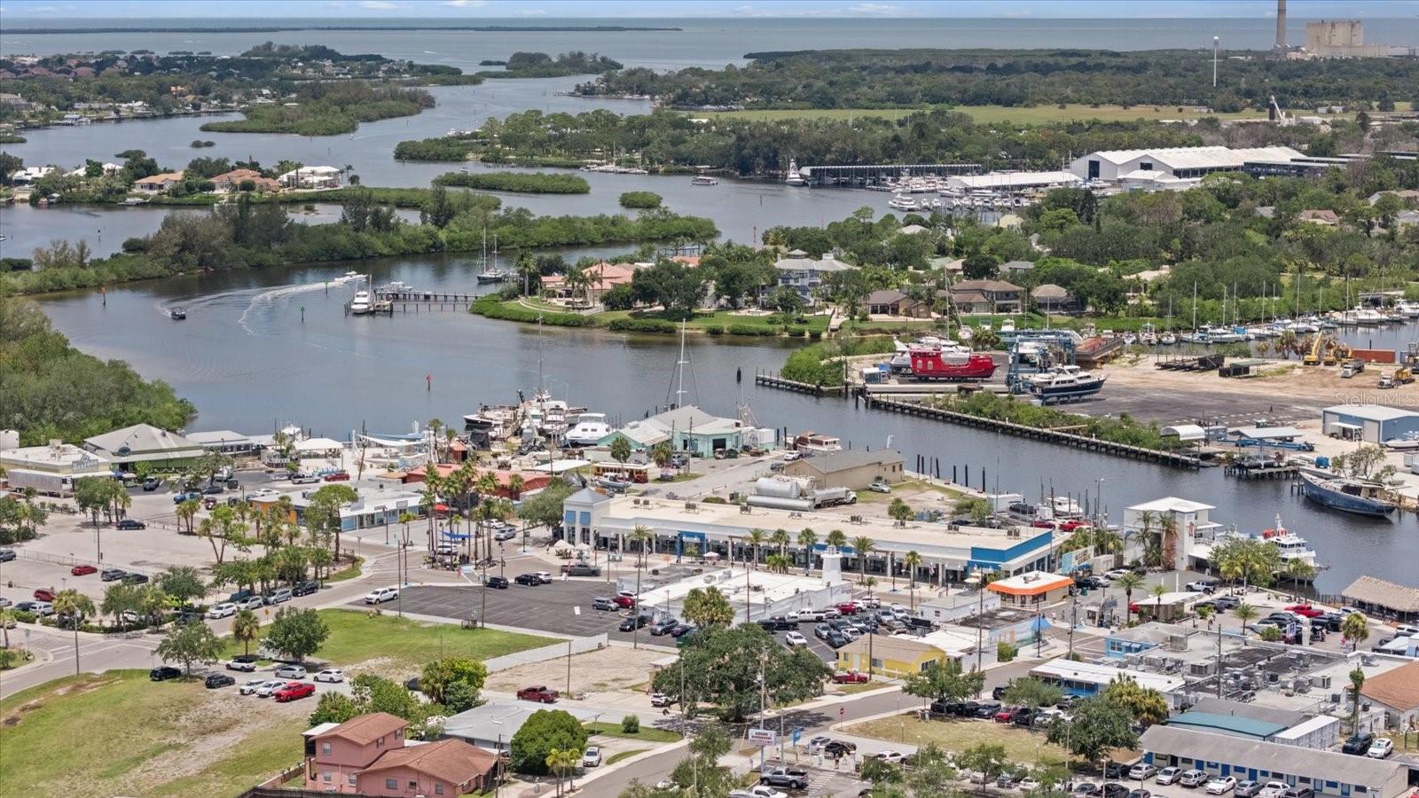 Tarpon Springs Sponge Docks