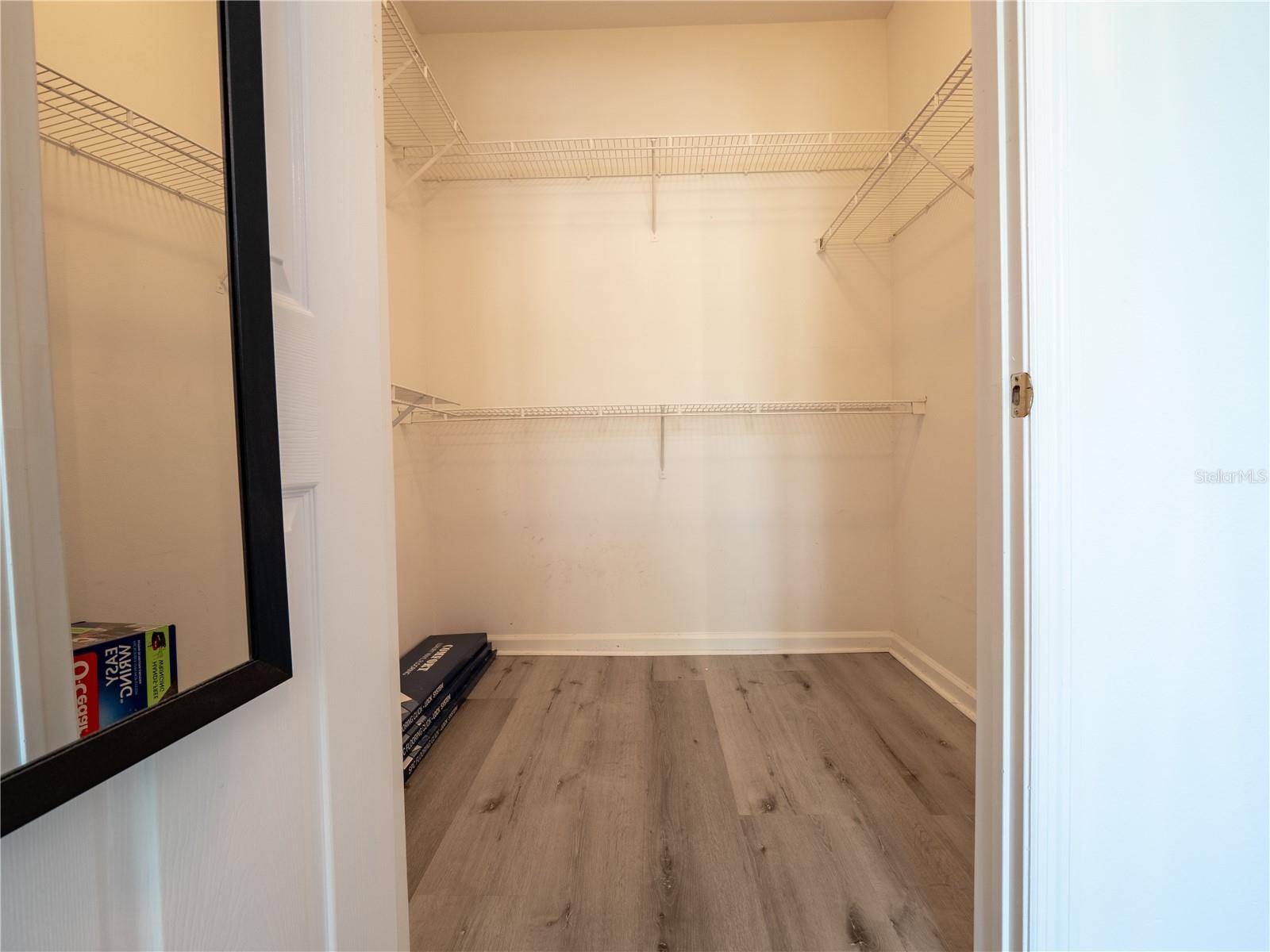 Walk in guest bedroom closet