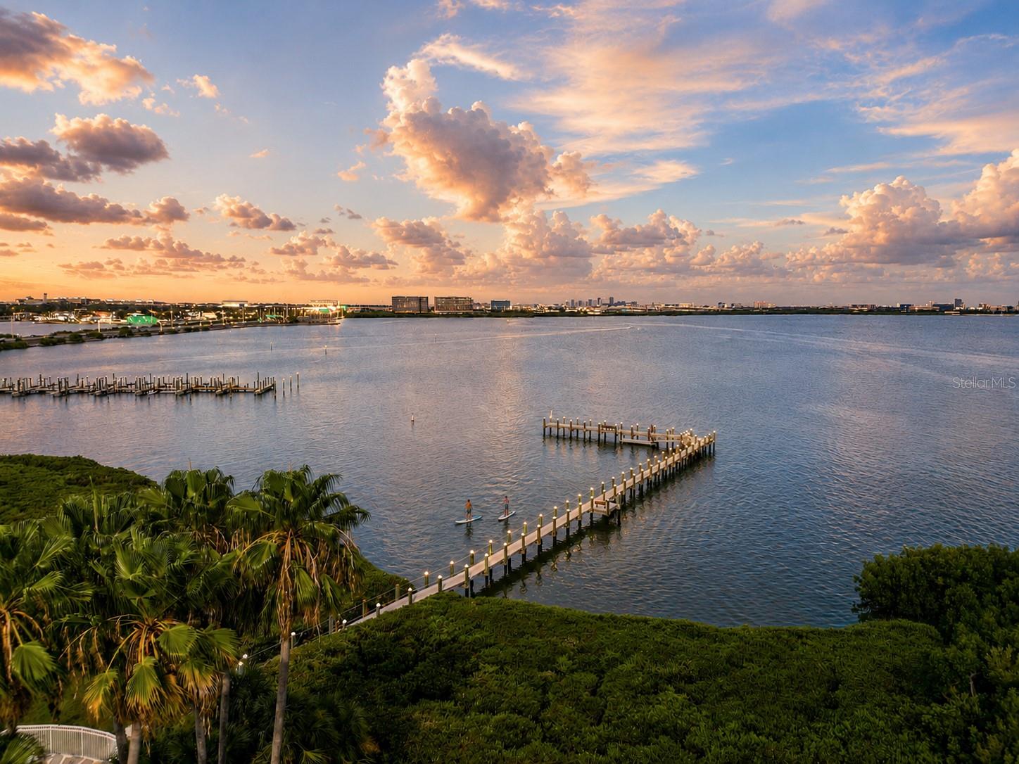 Community dock with access to Tampa Bay