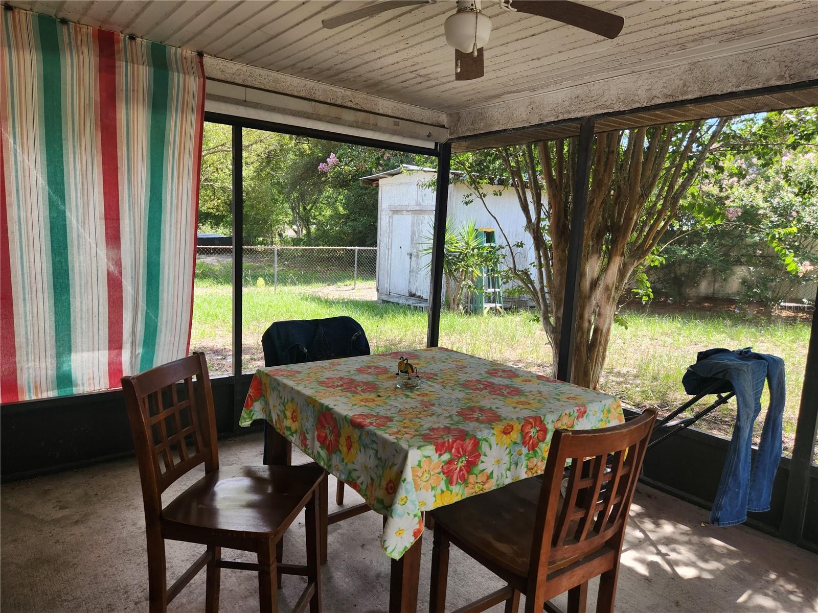 Patio view 1 & shed