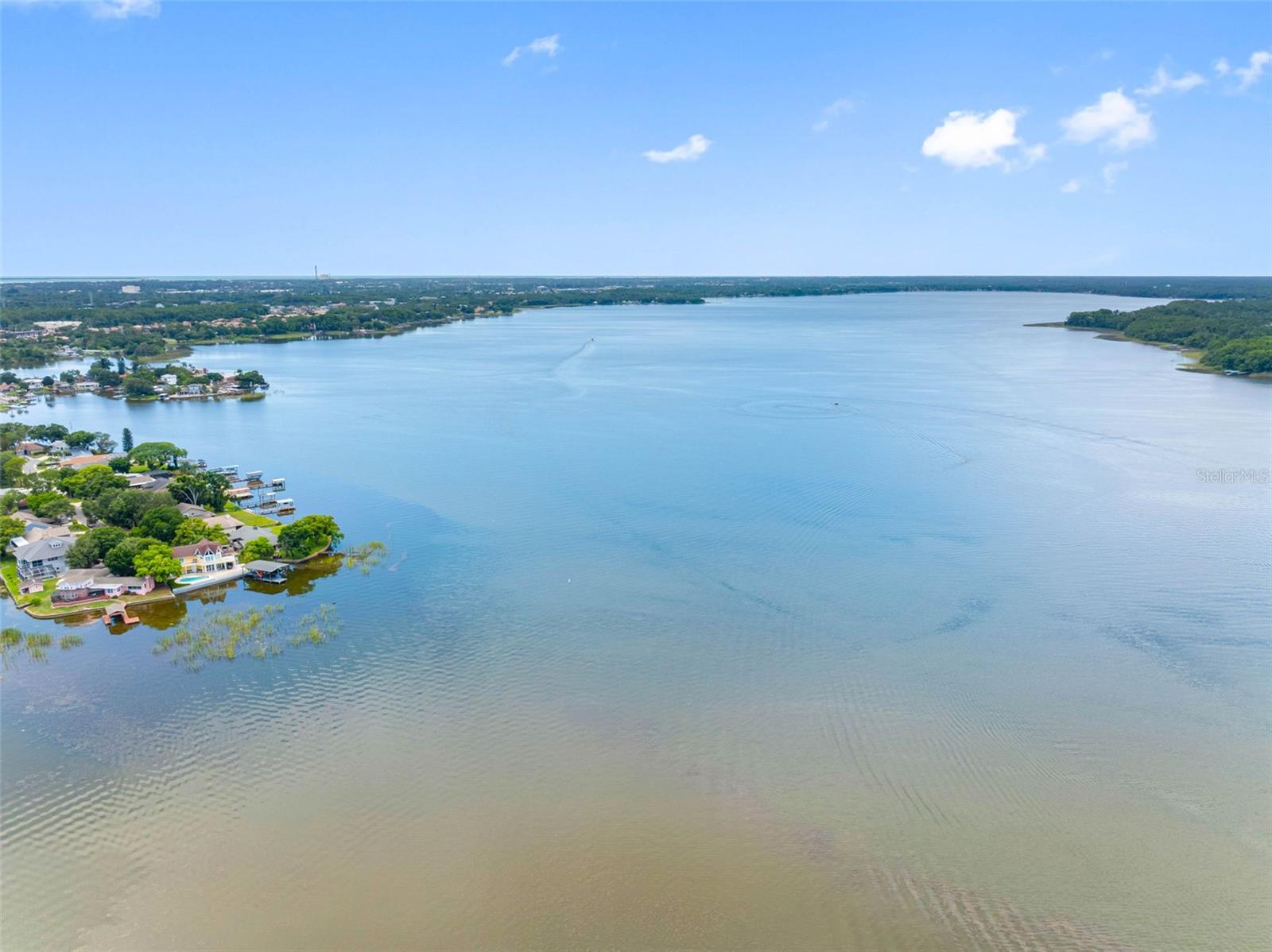 Lake Tarpon