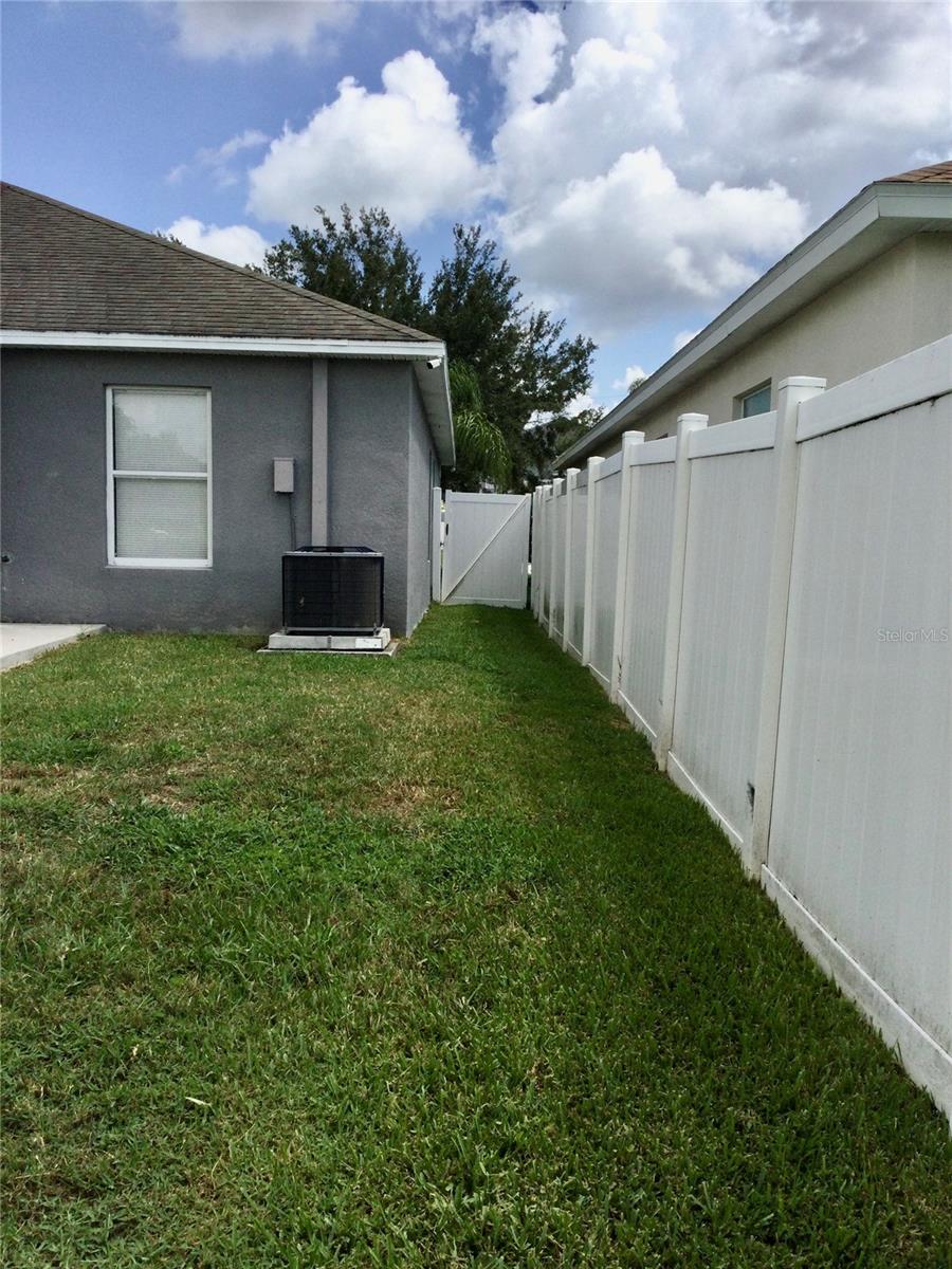 Backyard