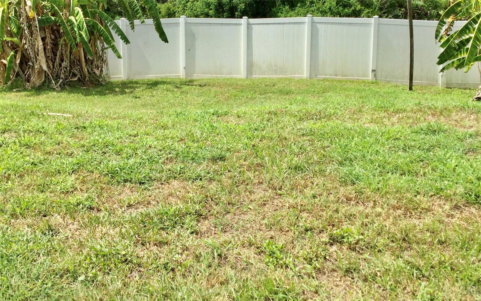 Backyard