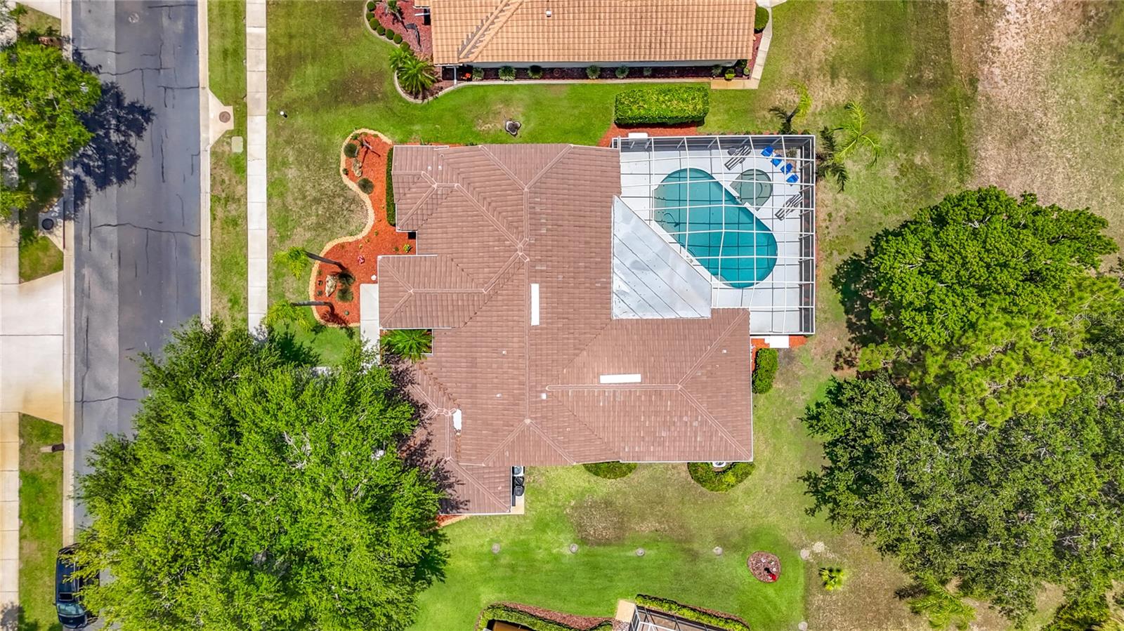 Bird's Eye
