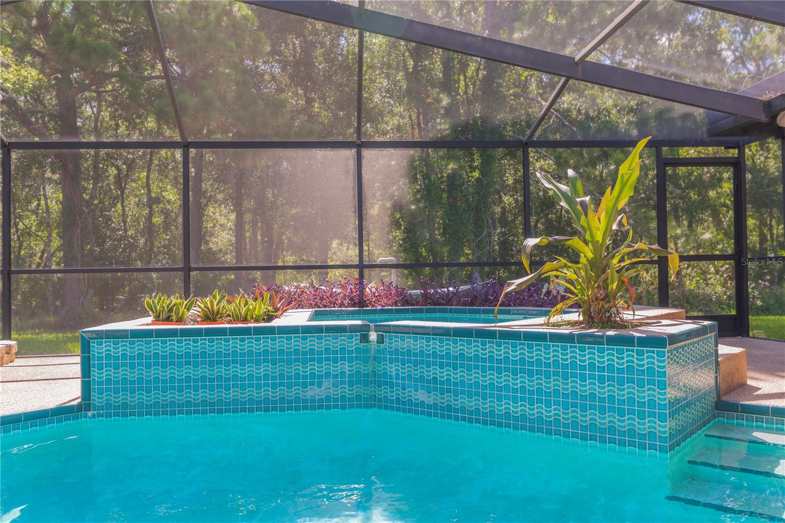 Pool and spa.