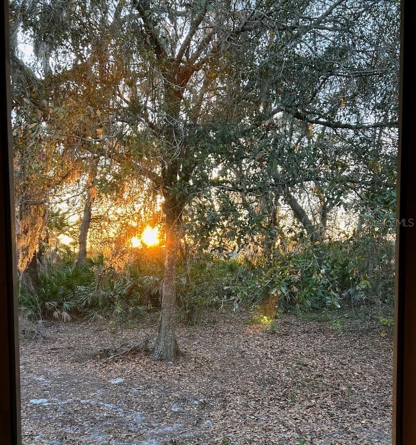 TB8527164