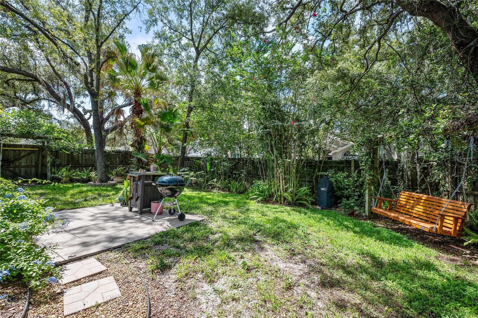 Grilling area and tree swing