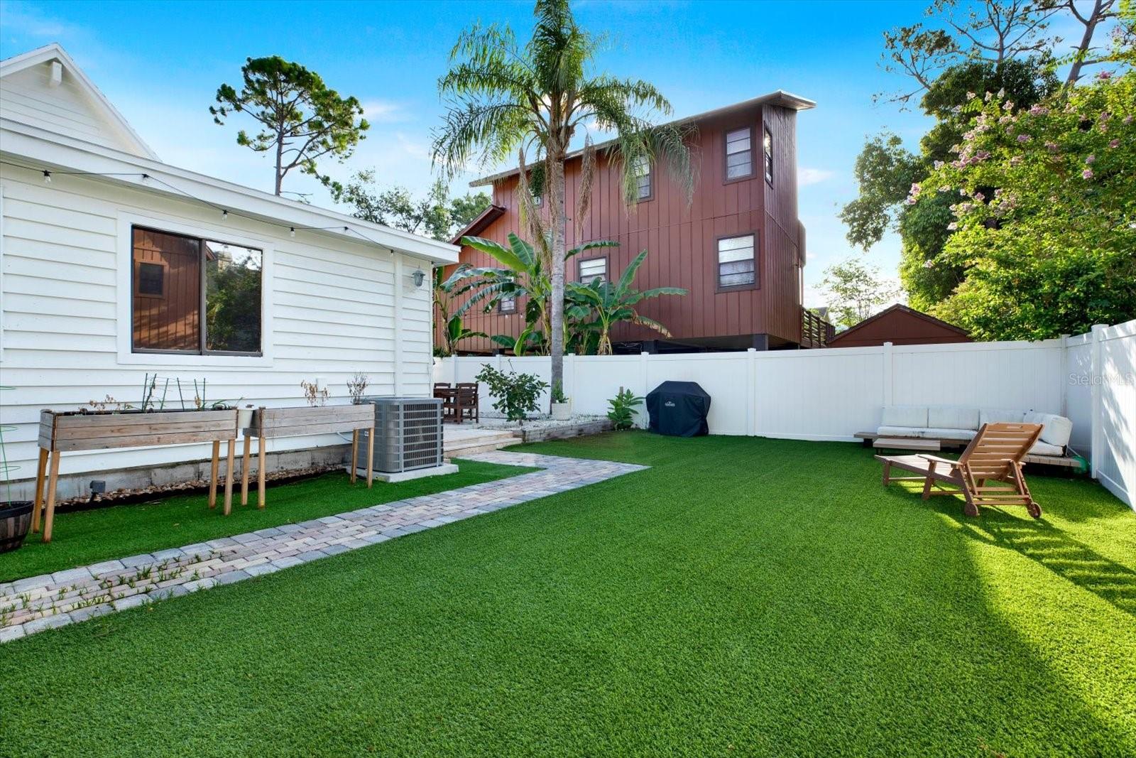 Back Yard