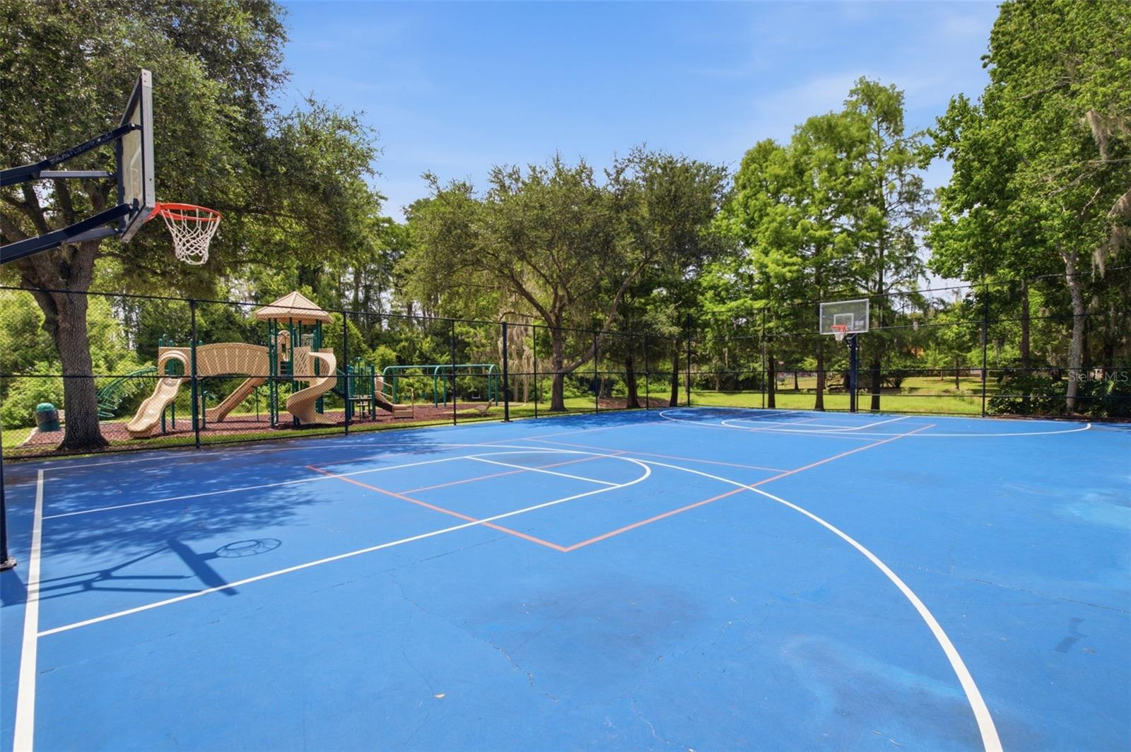 Basket & Pickleball