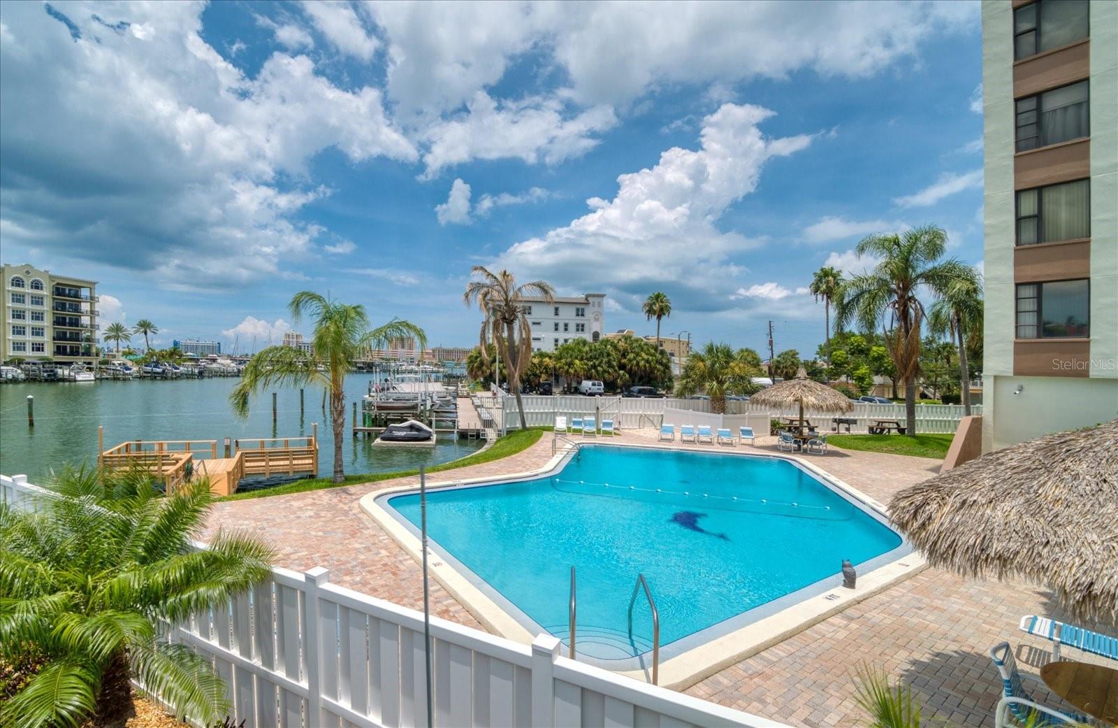 Dolphin Cove pool