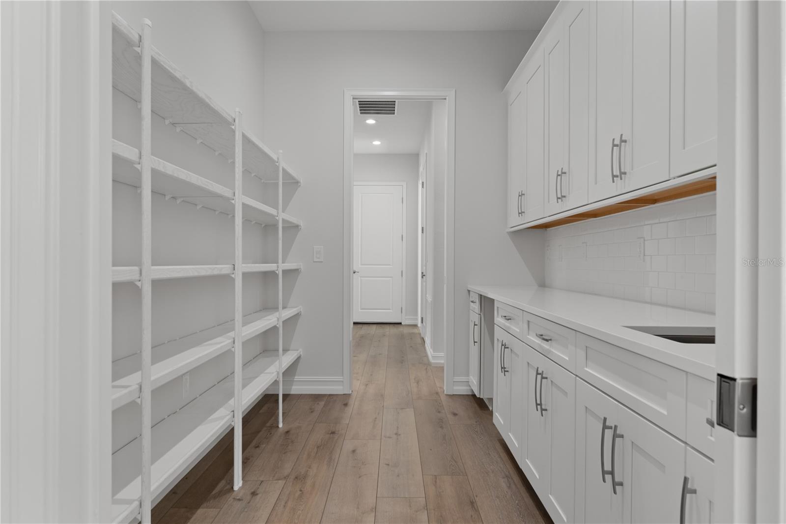 Walk through pantry