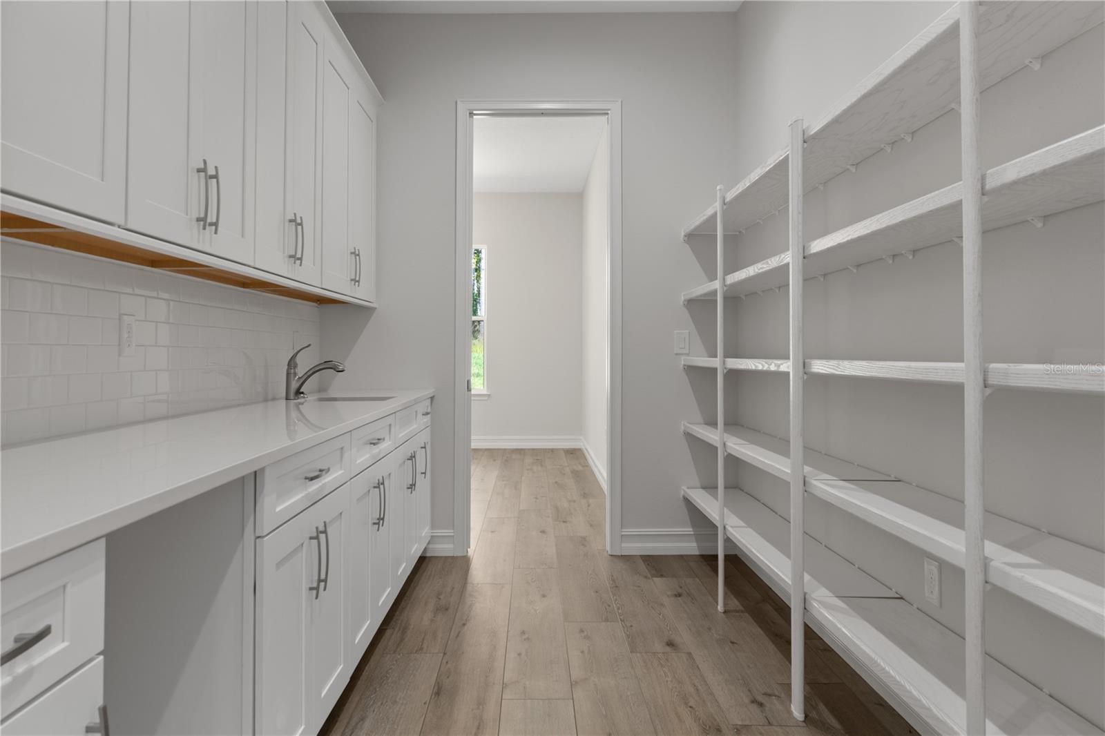 Walk through pantry