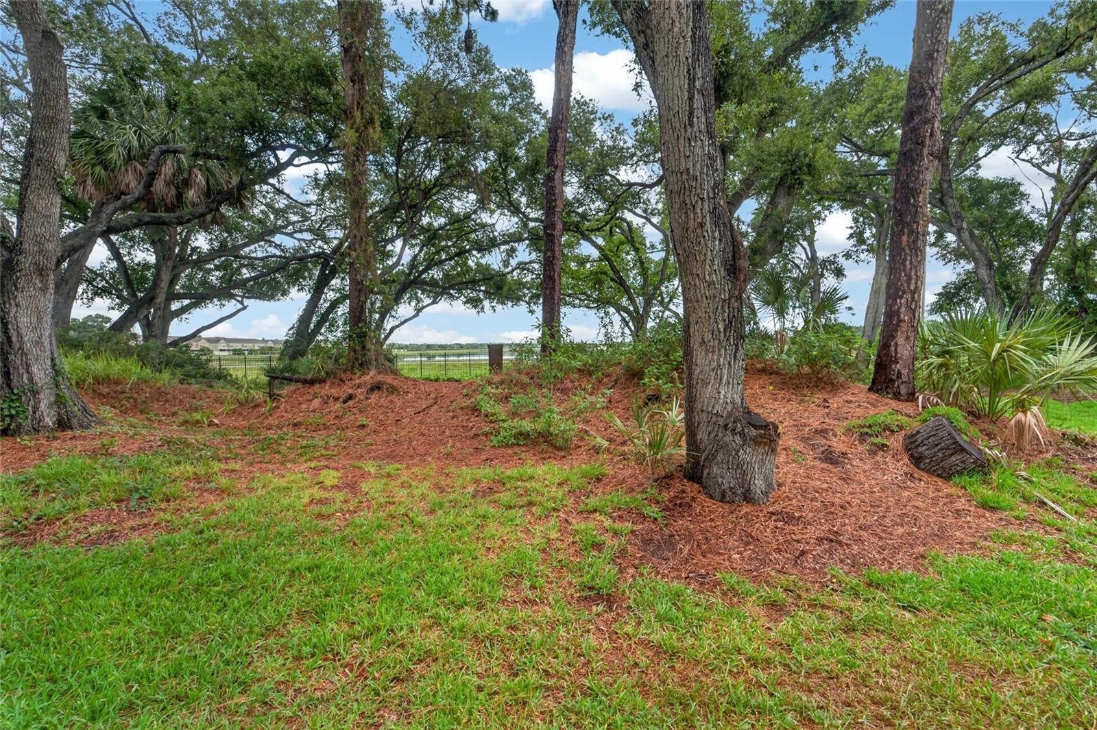 Side of Condo