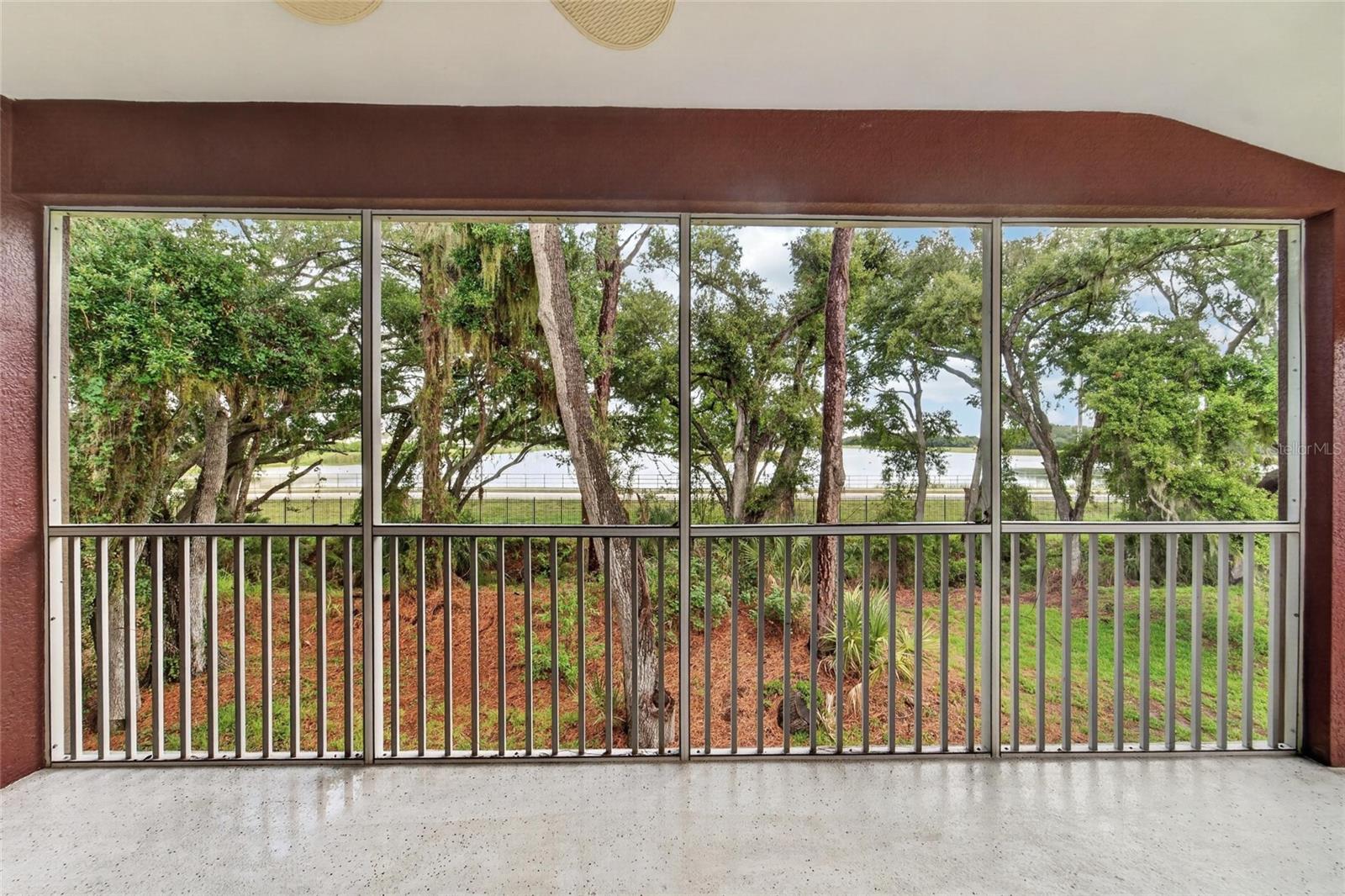 Lanai with Lake View
