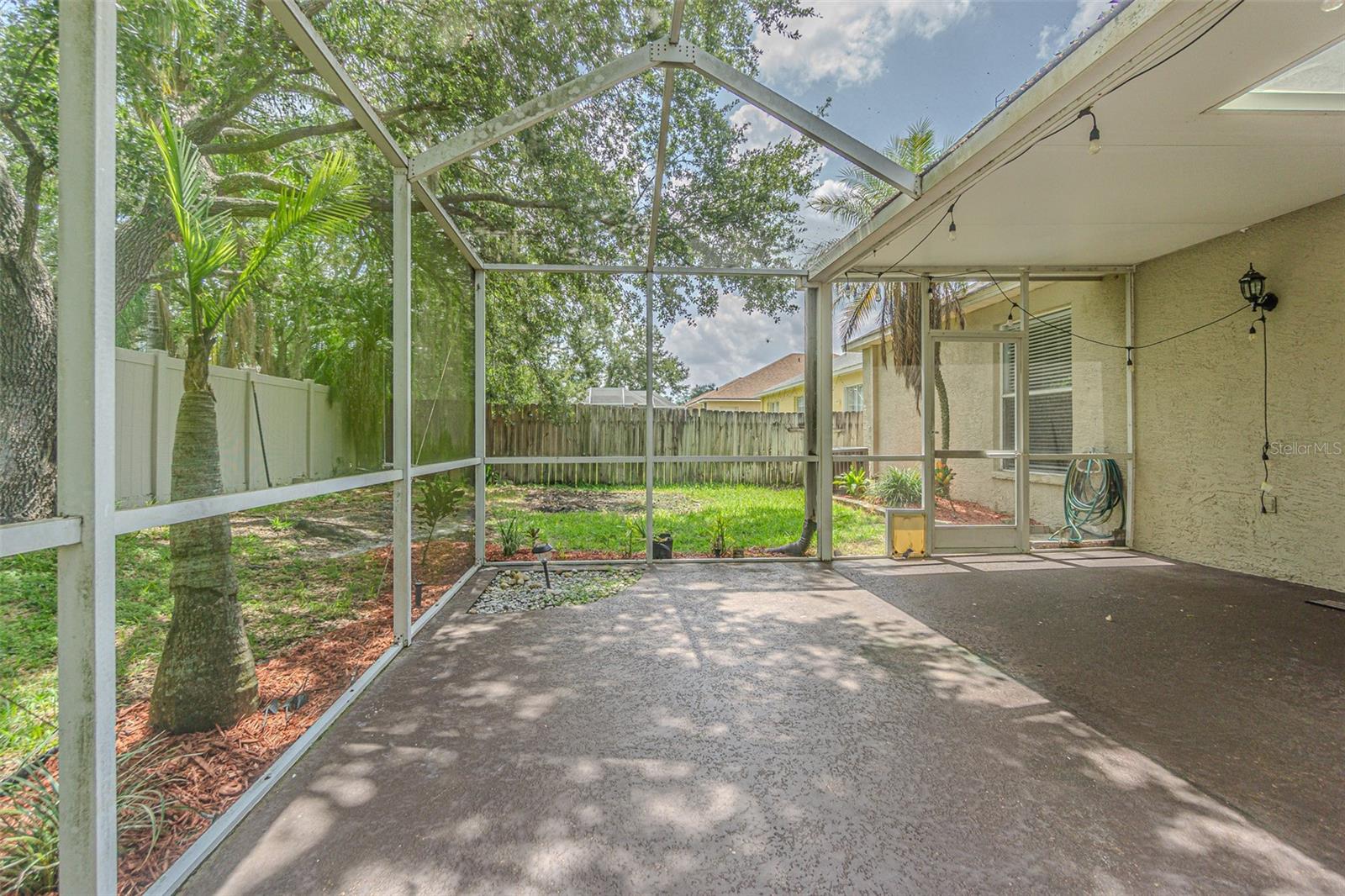 Patio and backyard