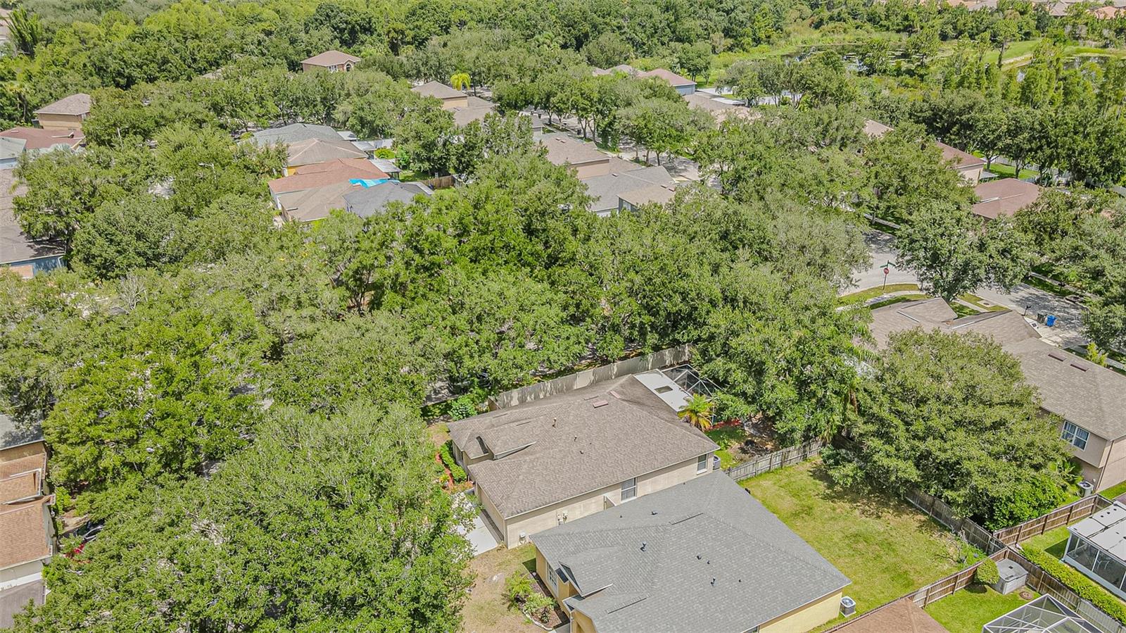 Aerial Far
