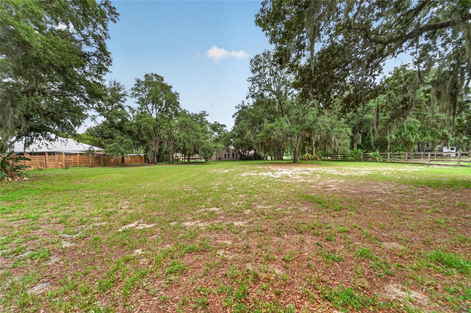 Backyard 4