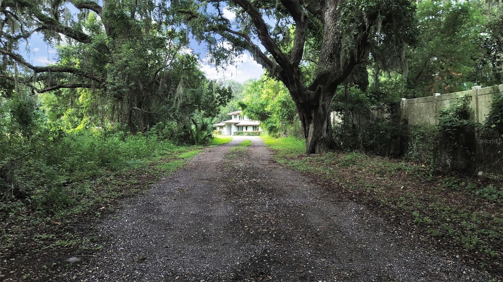 Walking Trail