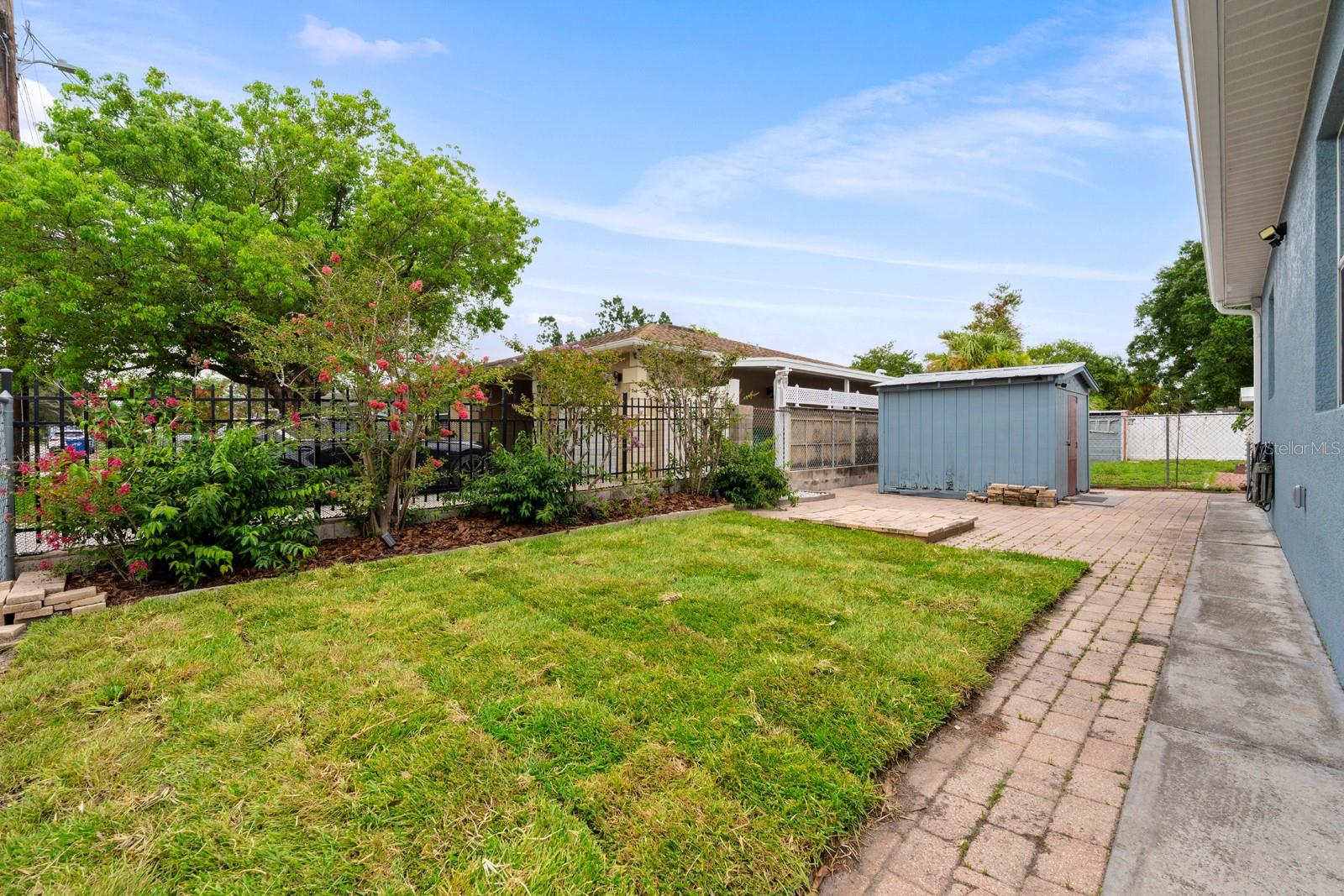 Back yard