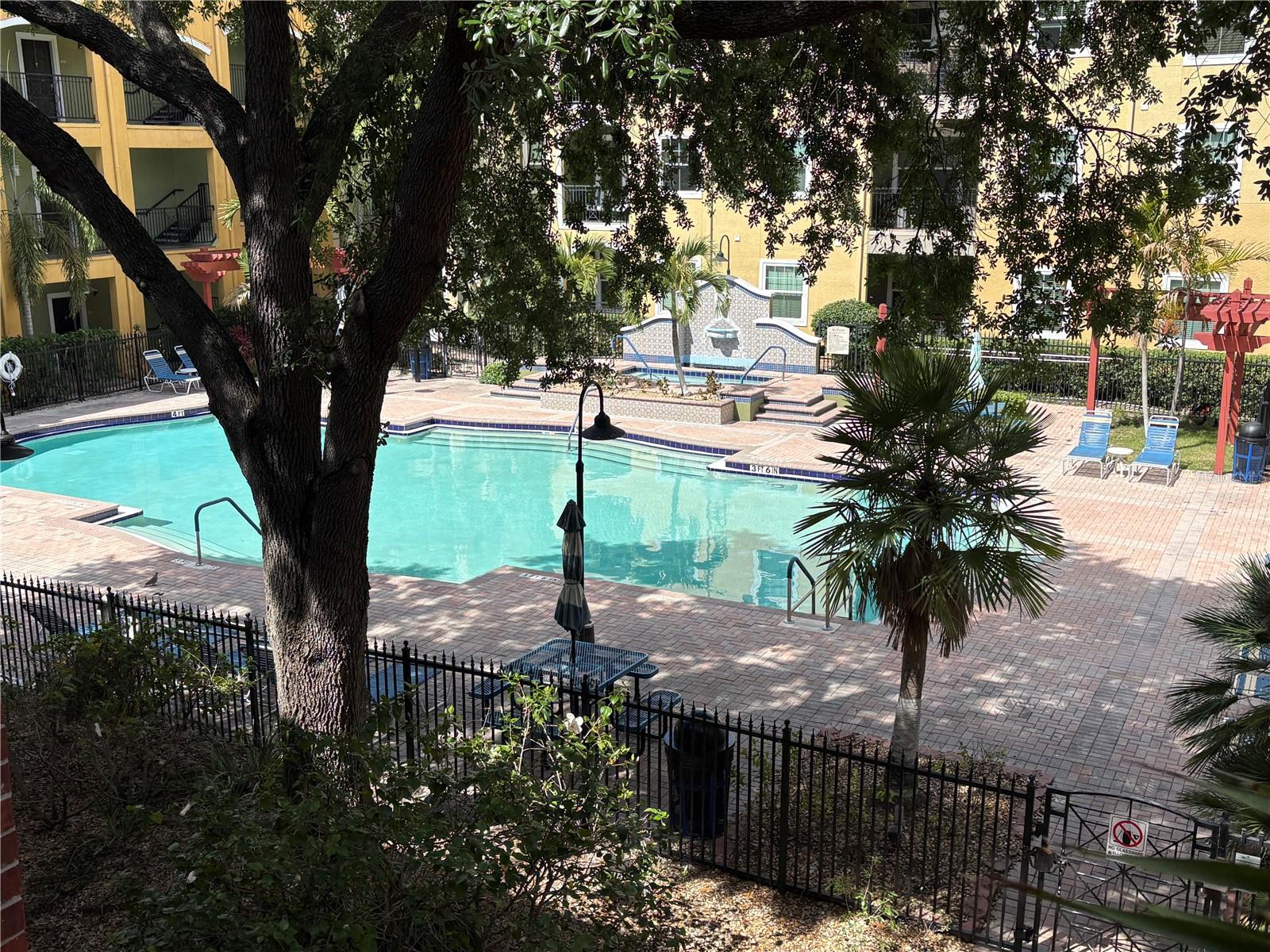 Main Pool