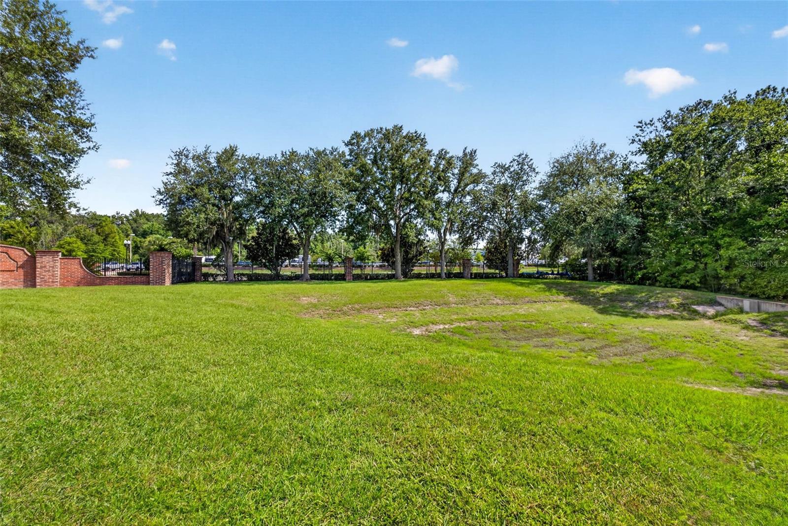 back yard conservation lot