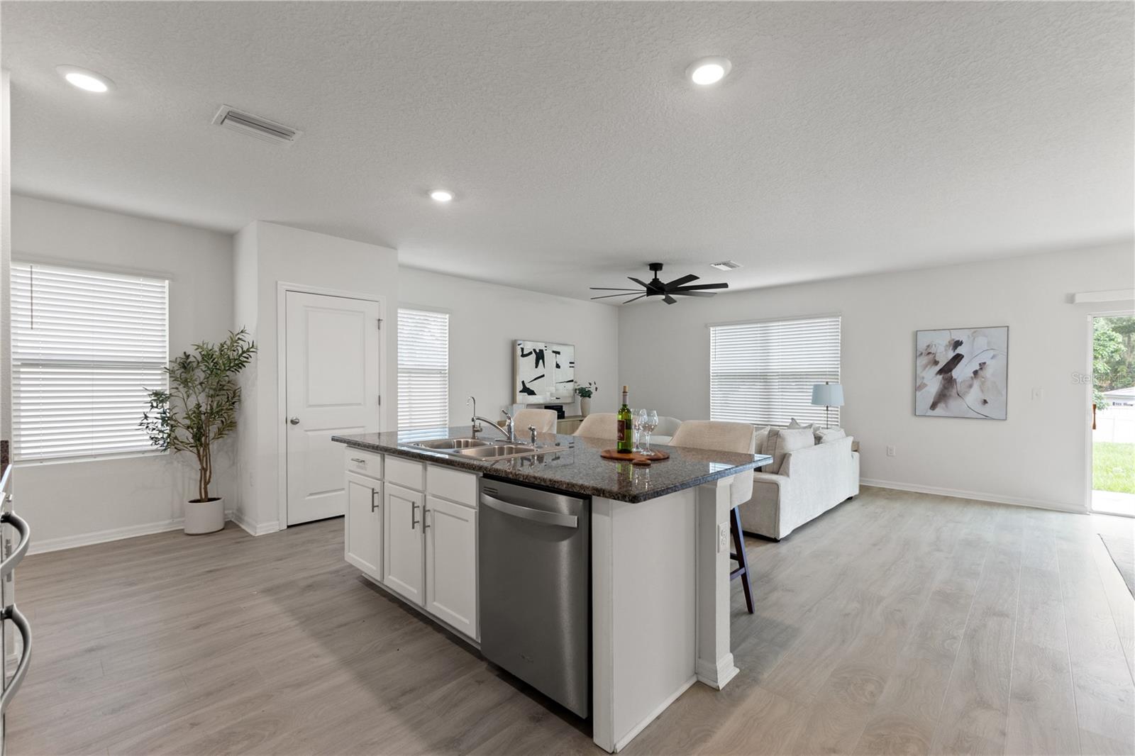 Kitchen & Living area