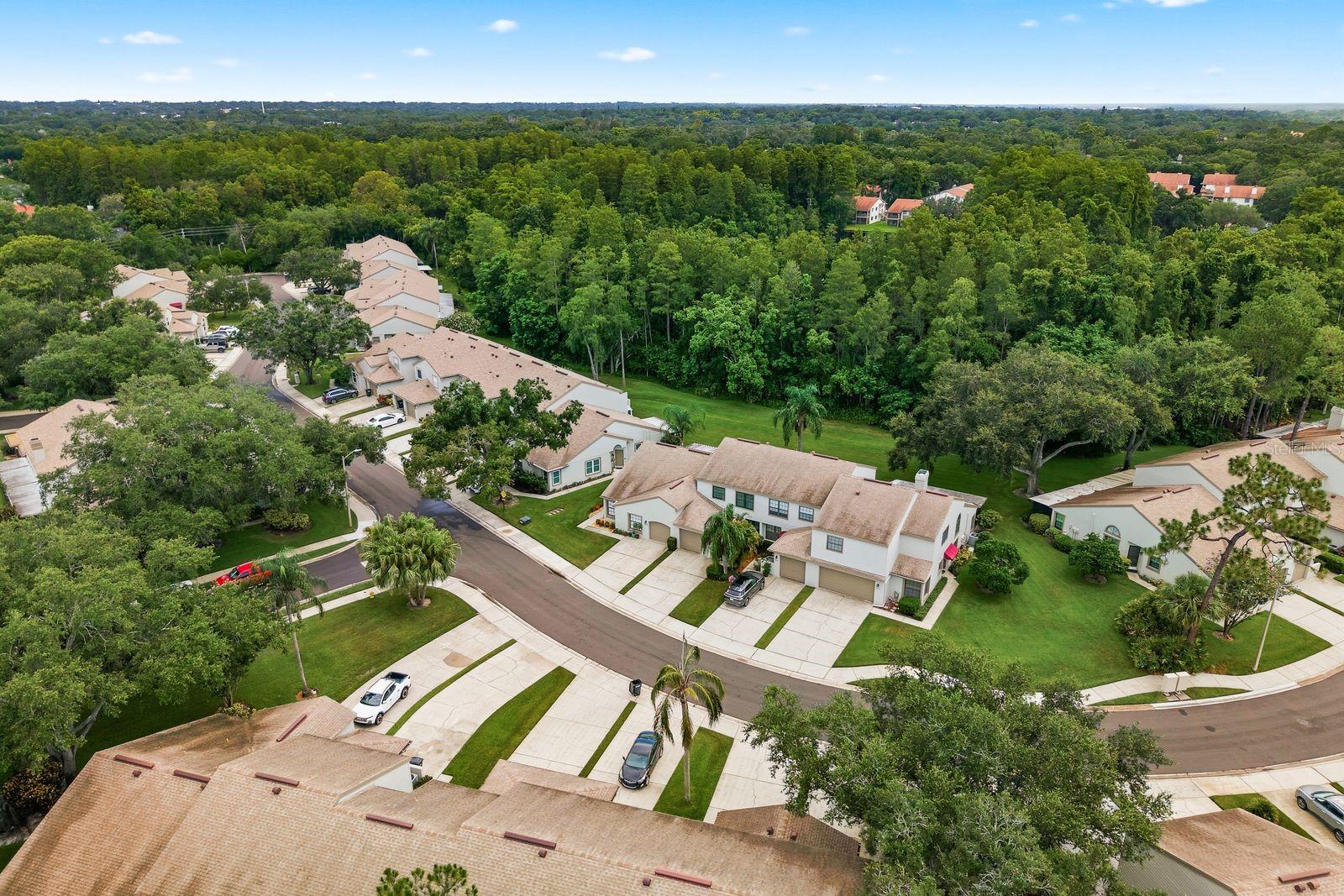 aerial