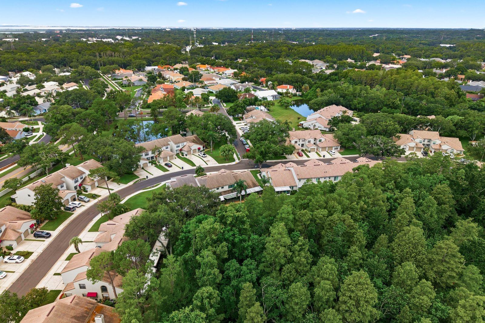 aerial
