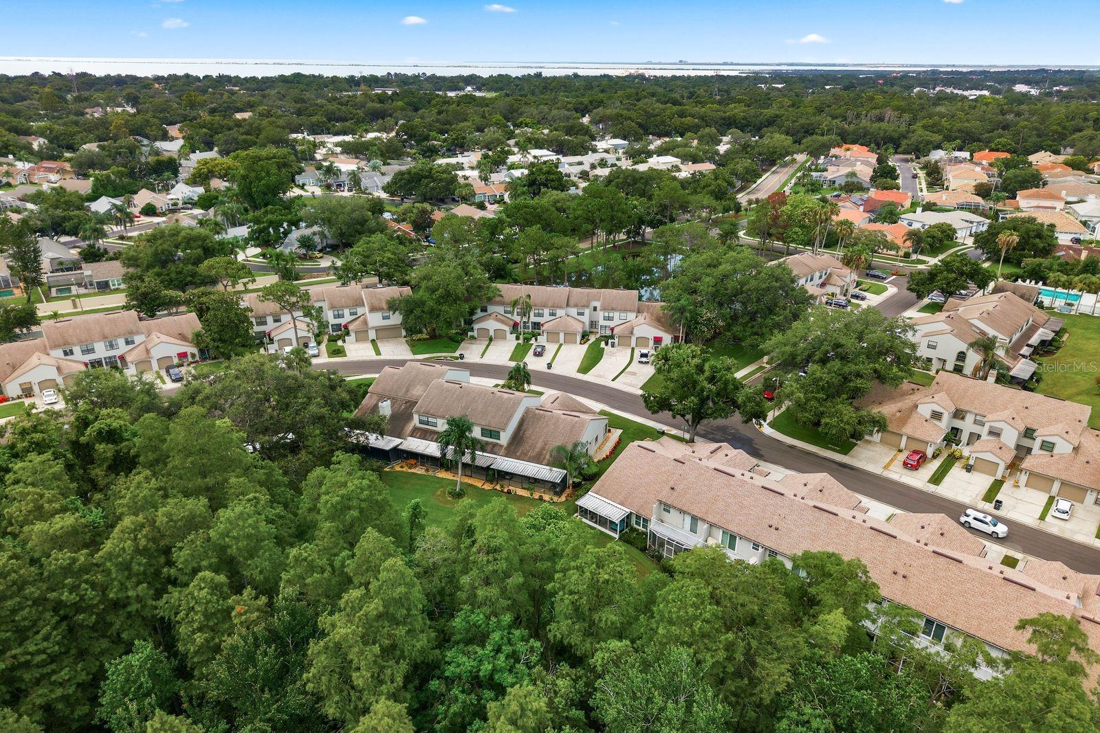 aerial