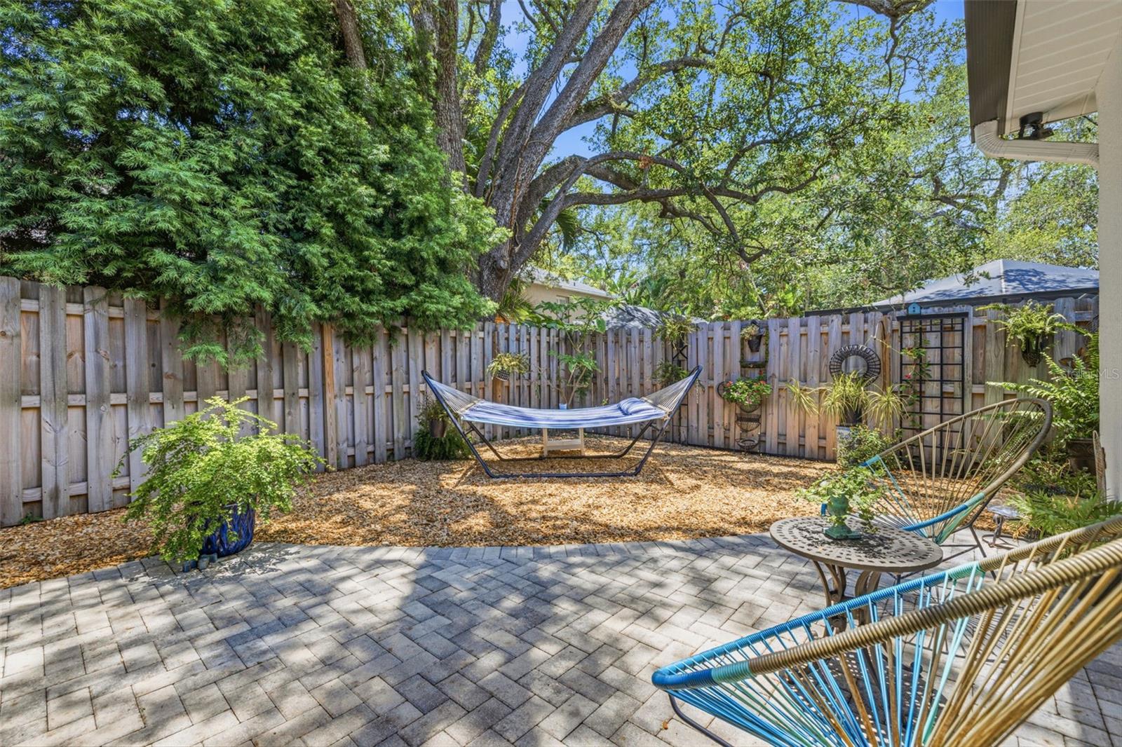 back yard