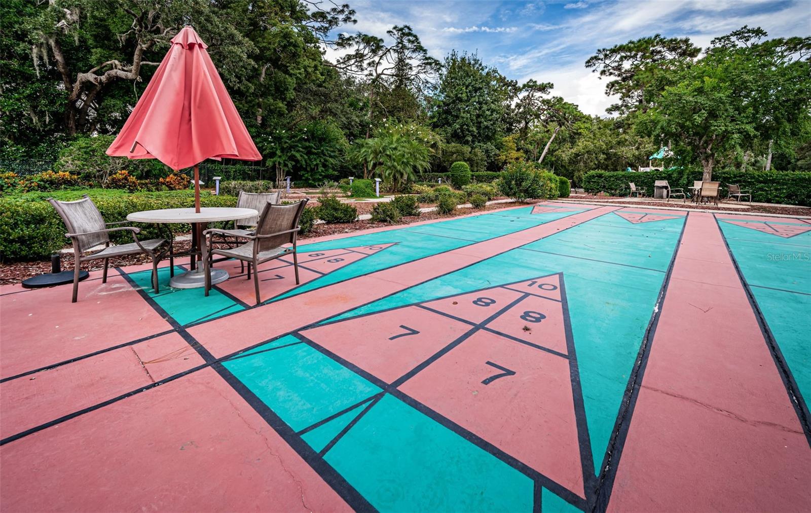 Shuffleboard Court