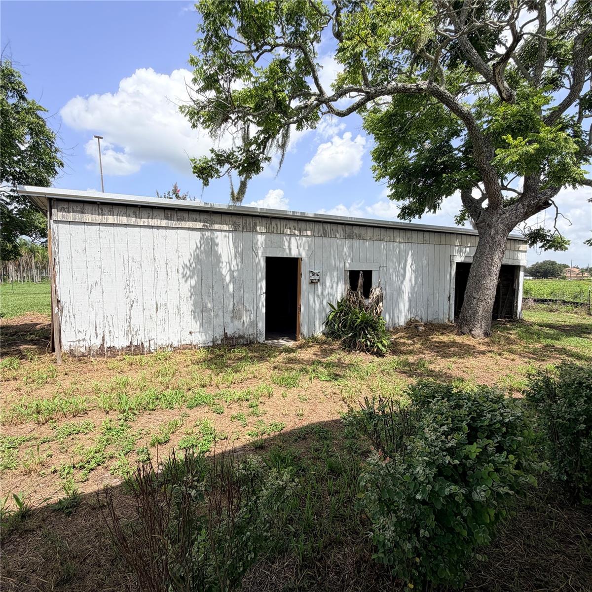 Shed
