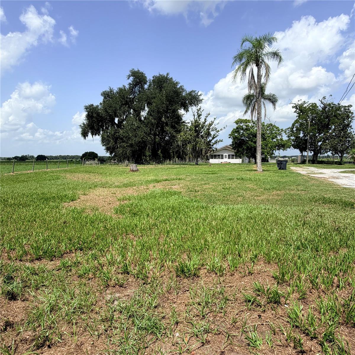 Yard looking towards the house.