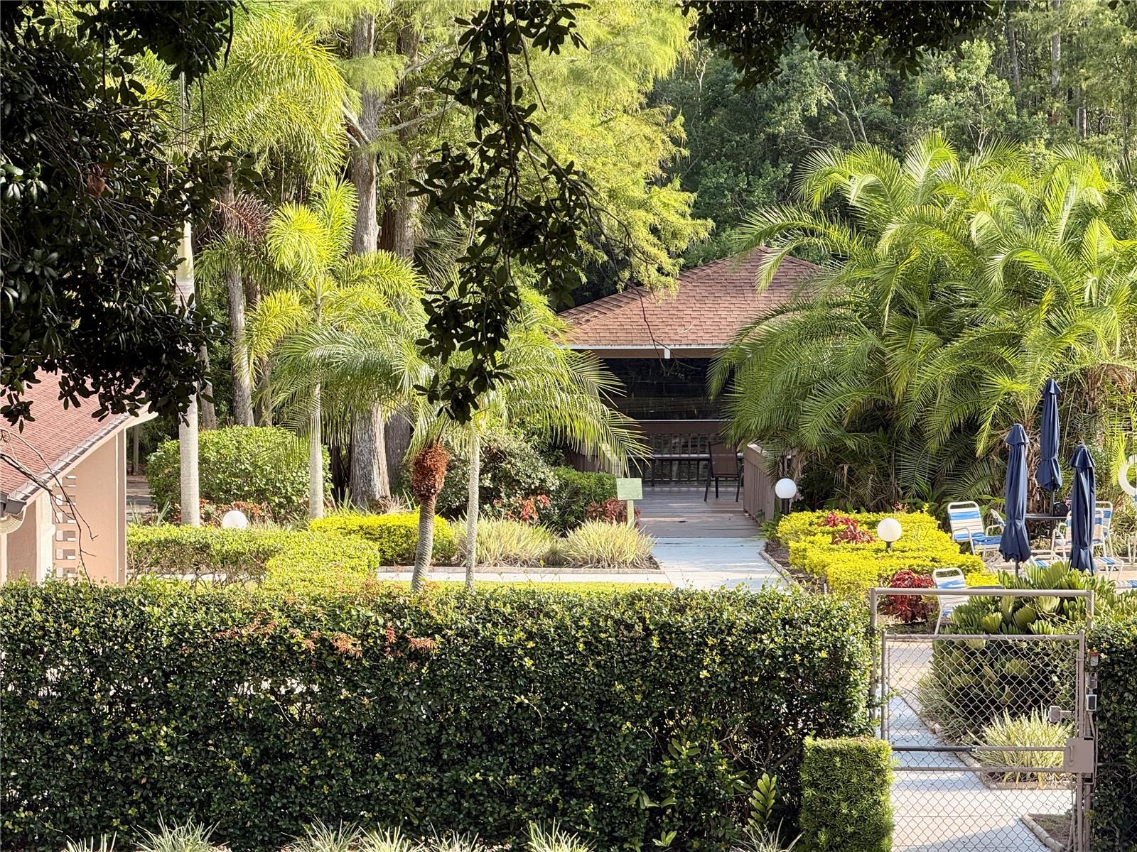 View of pool area from living room