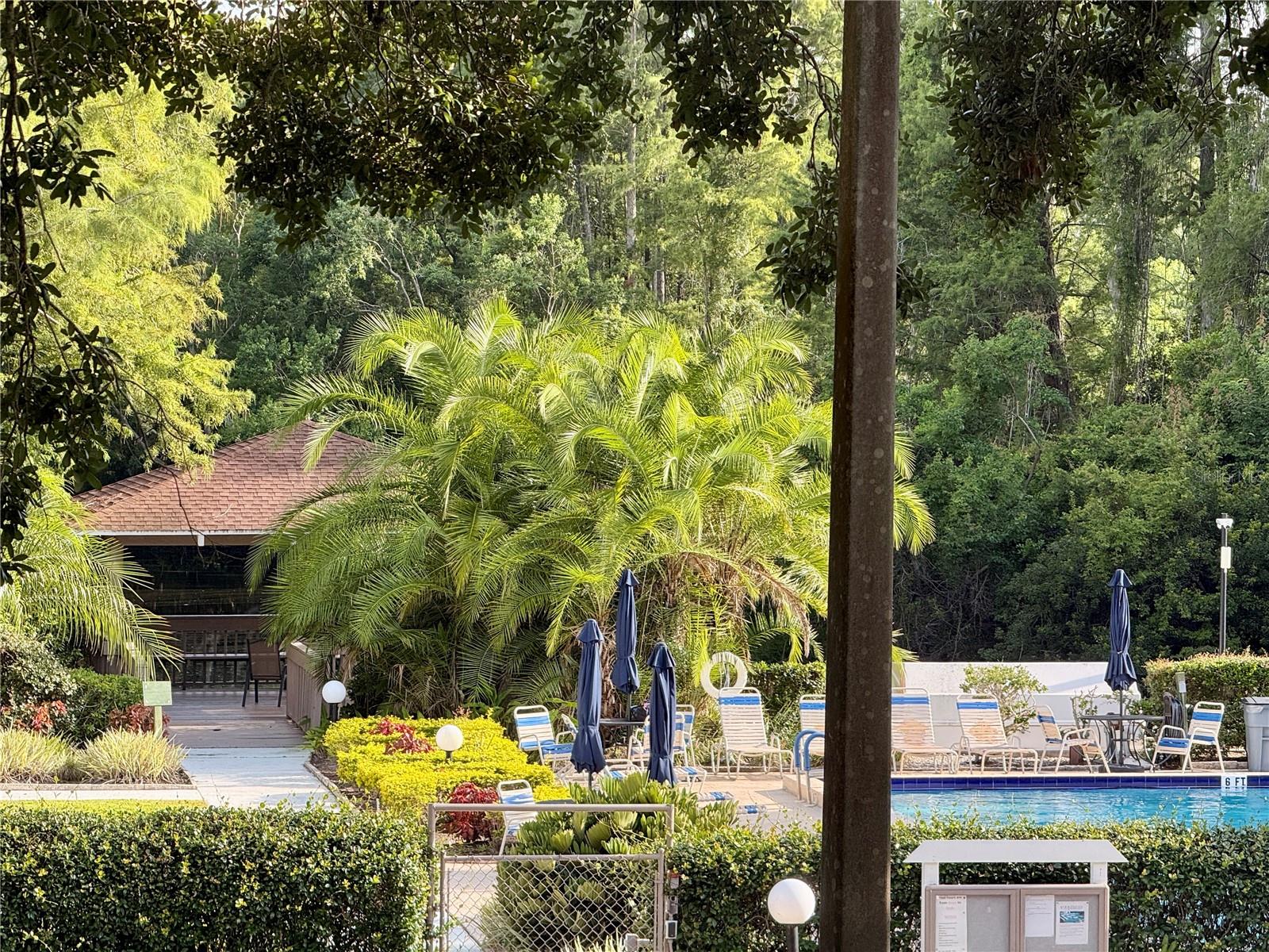View of pool area from living room