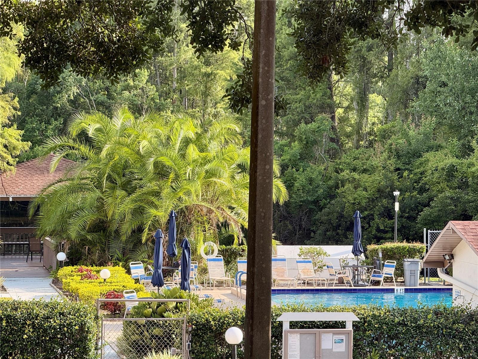 View of pool area from living room