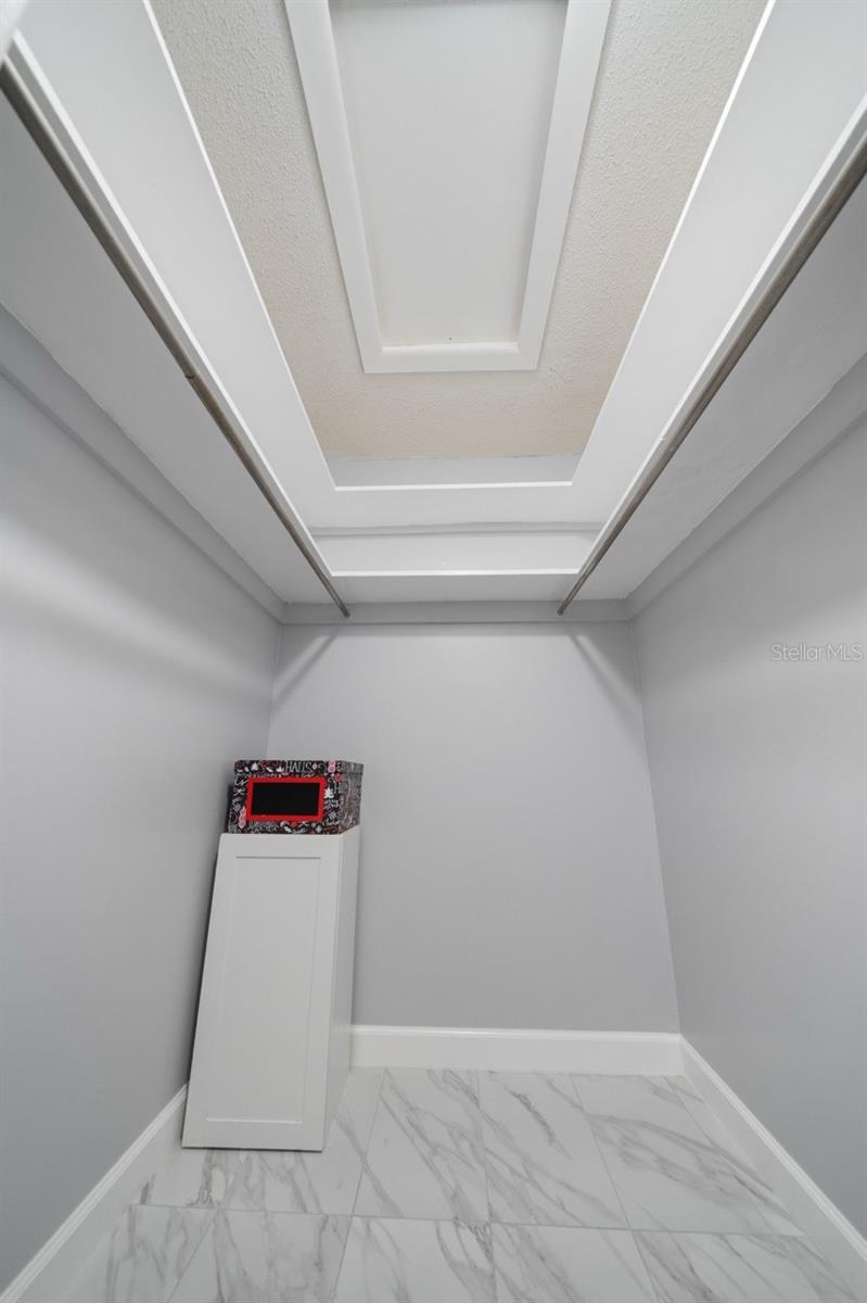 HALL CLOSET, STORAGE, ATTIC ACCESS. PREVIOUSLY GREAT GRANDKIDS PLAYROOM. IT'S THAT BIG. THERE IS ALSO A LINEN CLOSET IN THIS HALL.