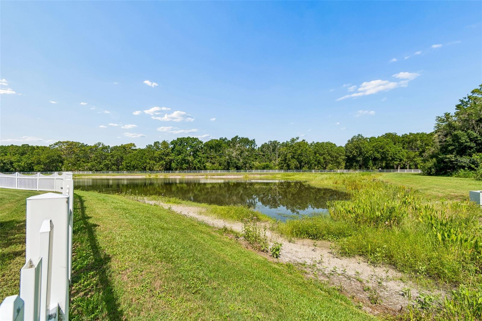 Large Fenced Yard